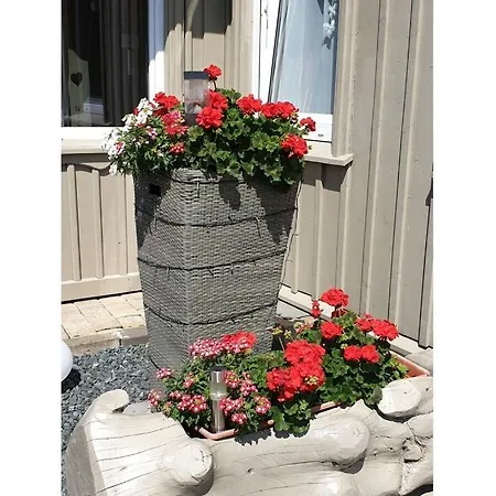 Lägenhet Eva